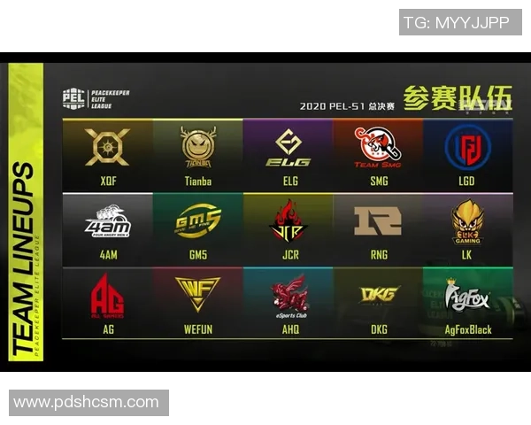 和平精英V5赛季比赛经验分享与战术探讨全方位解析