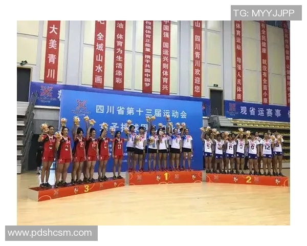 成都排球队在冠军赛中的技术表现分析与总结